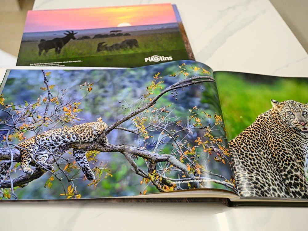 Wildlife Album - Pikolins