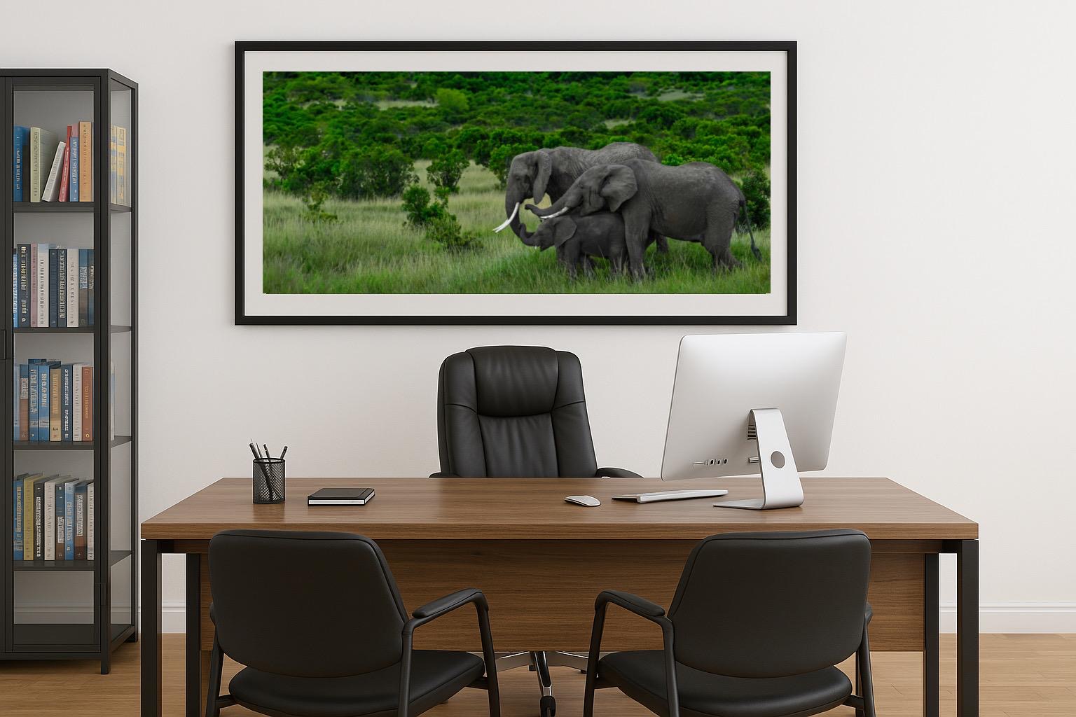 Elephant Family